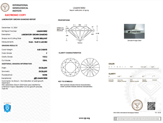 4.60 CARAT Round