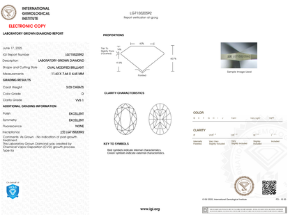 3.03 CARAT Oval